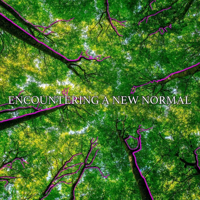 Encountering A New Normal