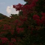 여행하는 눈 Snow, Voyage of eyes