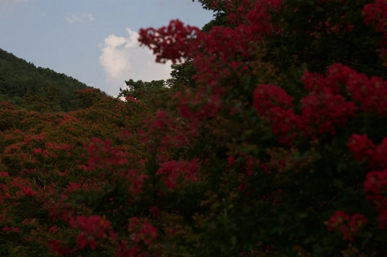 여행하는 눈 Snow, Voyage of eyes