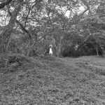 여행하는 눈 Snow, Voyage of eyes