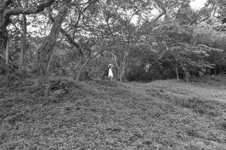 여행하는 눈 Snow, Voyage of eyes