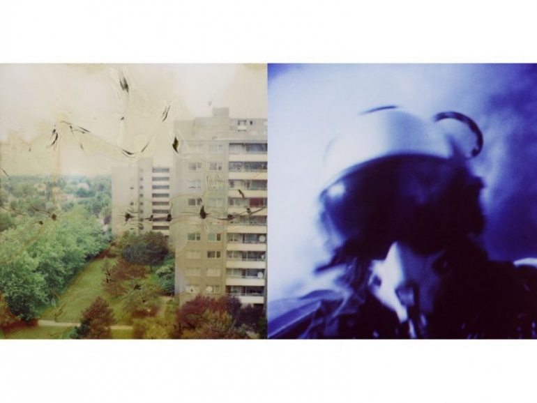 O. S. Scholten - POLAROISATION - Is it a Polaroid or is it just reality? - Parallel Worlds