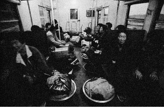 시대와 국경을 가로질러 교차하는 삶의 풍경