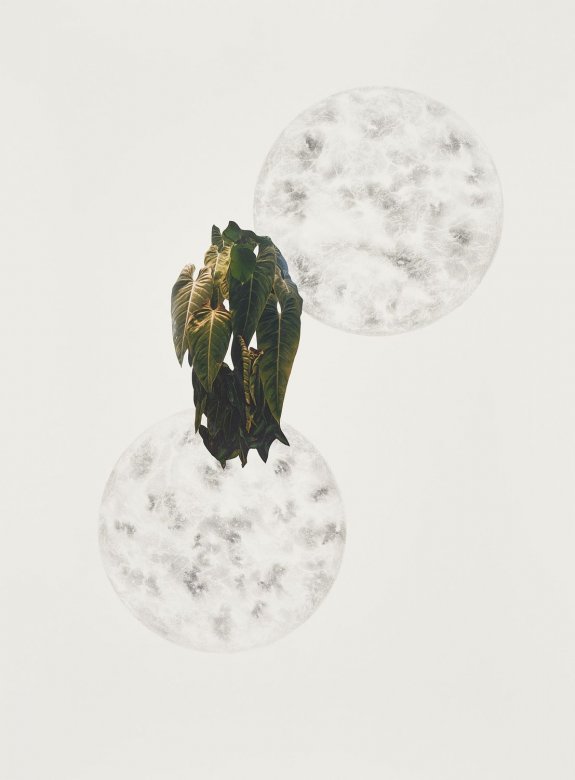 Psychopomp