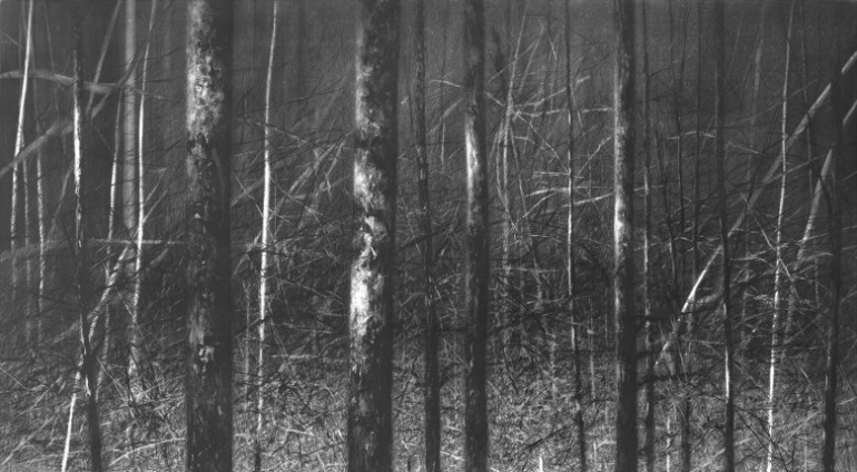 High Contrast. Danja Akulin