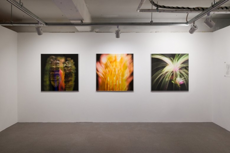 옮겨심기 Potting