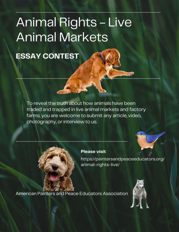 animal rights essay competition