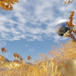 Look up. Look up in the sky