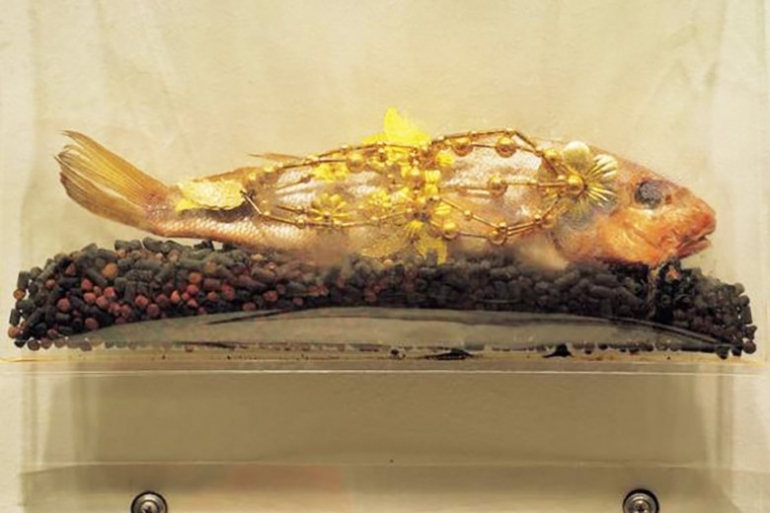 메타비평이란 무엇인가? -2