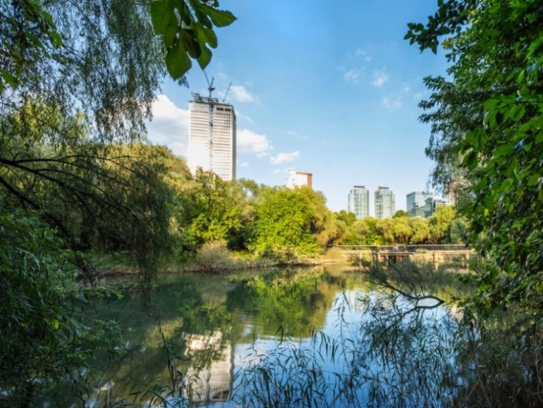 2024년 국립현대미술관의 가까운 미래를 집에서 엿보는 방법 