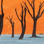 프란스 란팅: 디어 포나 / Inspired by Nature, Frans Lanting: Dear Fauna