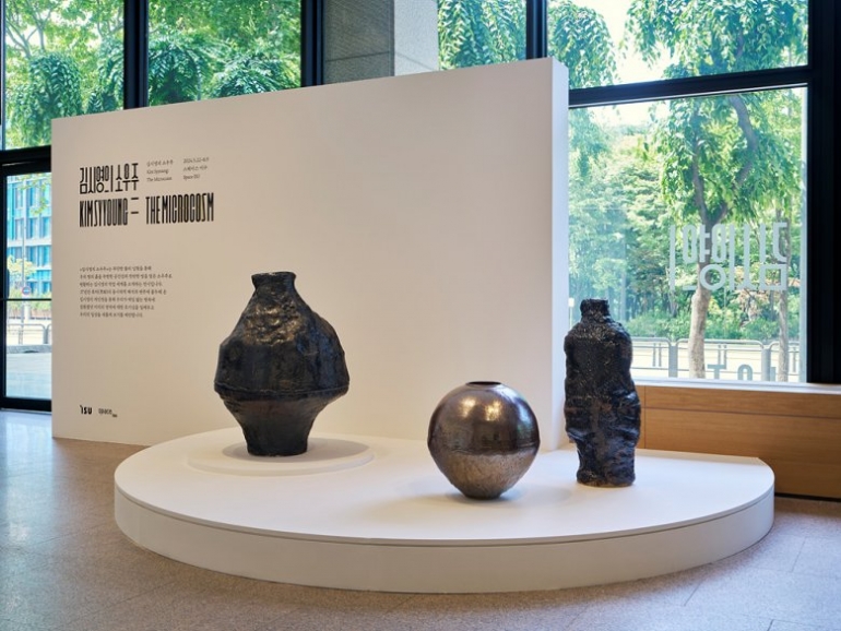 김시영의 소우주