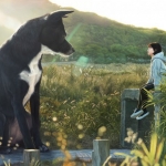 정우재 <하루빛>