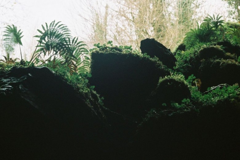 STRATA