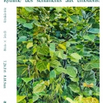 김지선, 이미솔 <Rythme des sentiments aux émotions: 자유진행리듬>