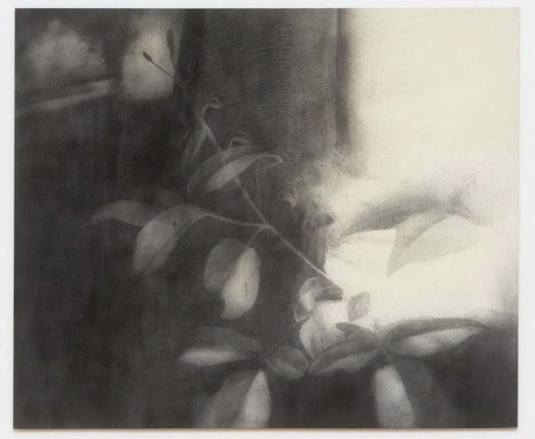 Letizia Werth — Shadow Flowers