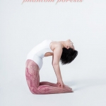 스페이스 미라주