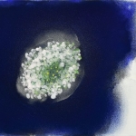 윤형선 : Dance of Flowers, Voice of Nature - 춤추는 꽃