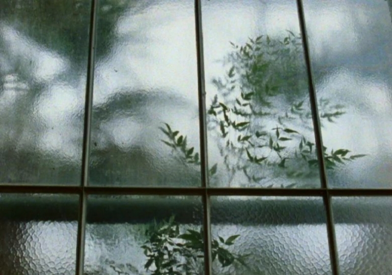 Orangery of Care