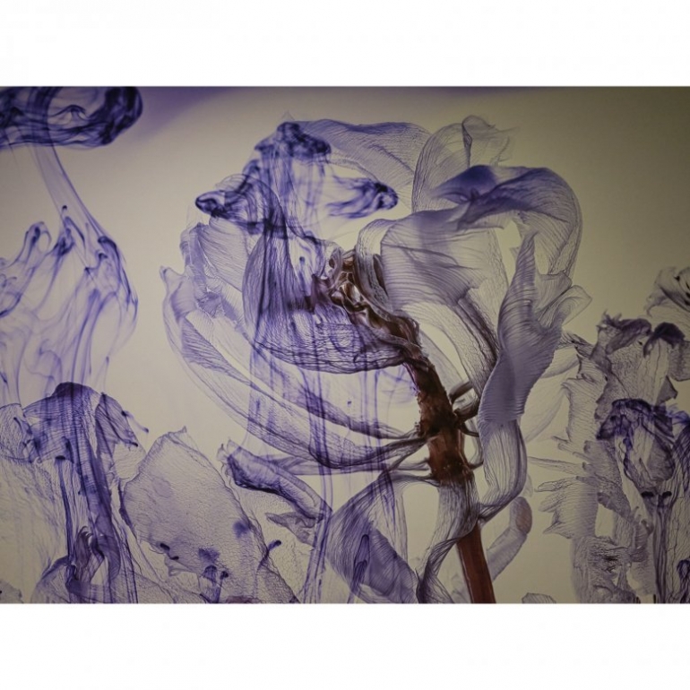 덧없고 불완전한 생명의 미학