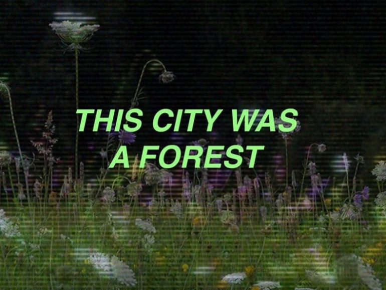 This City Was A Forest
