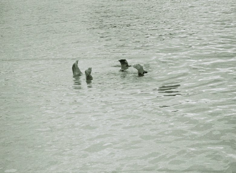 고은주 - 팔방치기: 미완의 번역