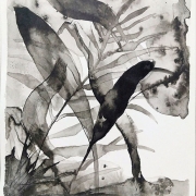 Jaeeun Shin Jaeeun Shin