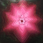 Camellia Camellia